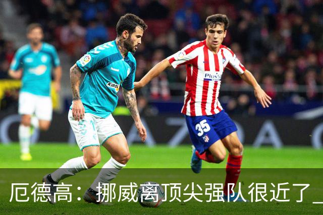 厄德高：挪威离顶尖强队很近了 开赛前说我们能到8强我绝不会相信